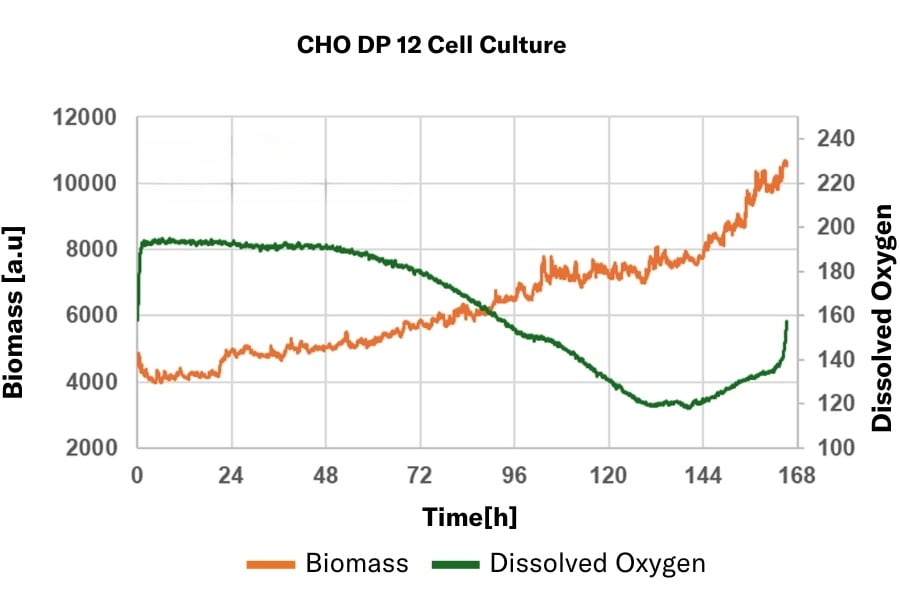 CHO DP 12 Cell Culture