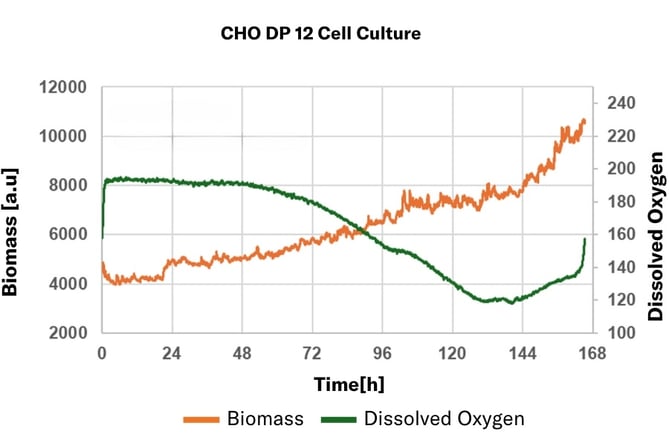 CHO DP 12 Cell Culture