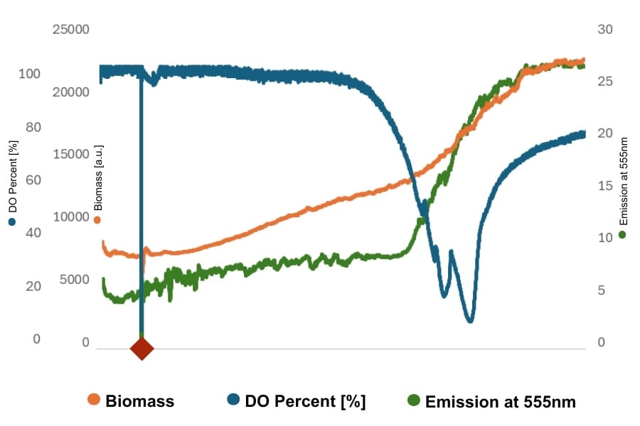 Data Spotlight -  Monitoring Metabolic Events Through the Detection of eGFP Expressed by E. coli