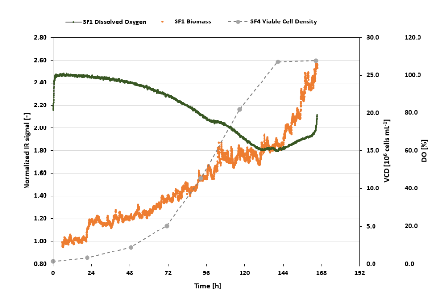 Dissolved Oxygen Monitoring in CHO Cells