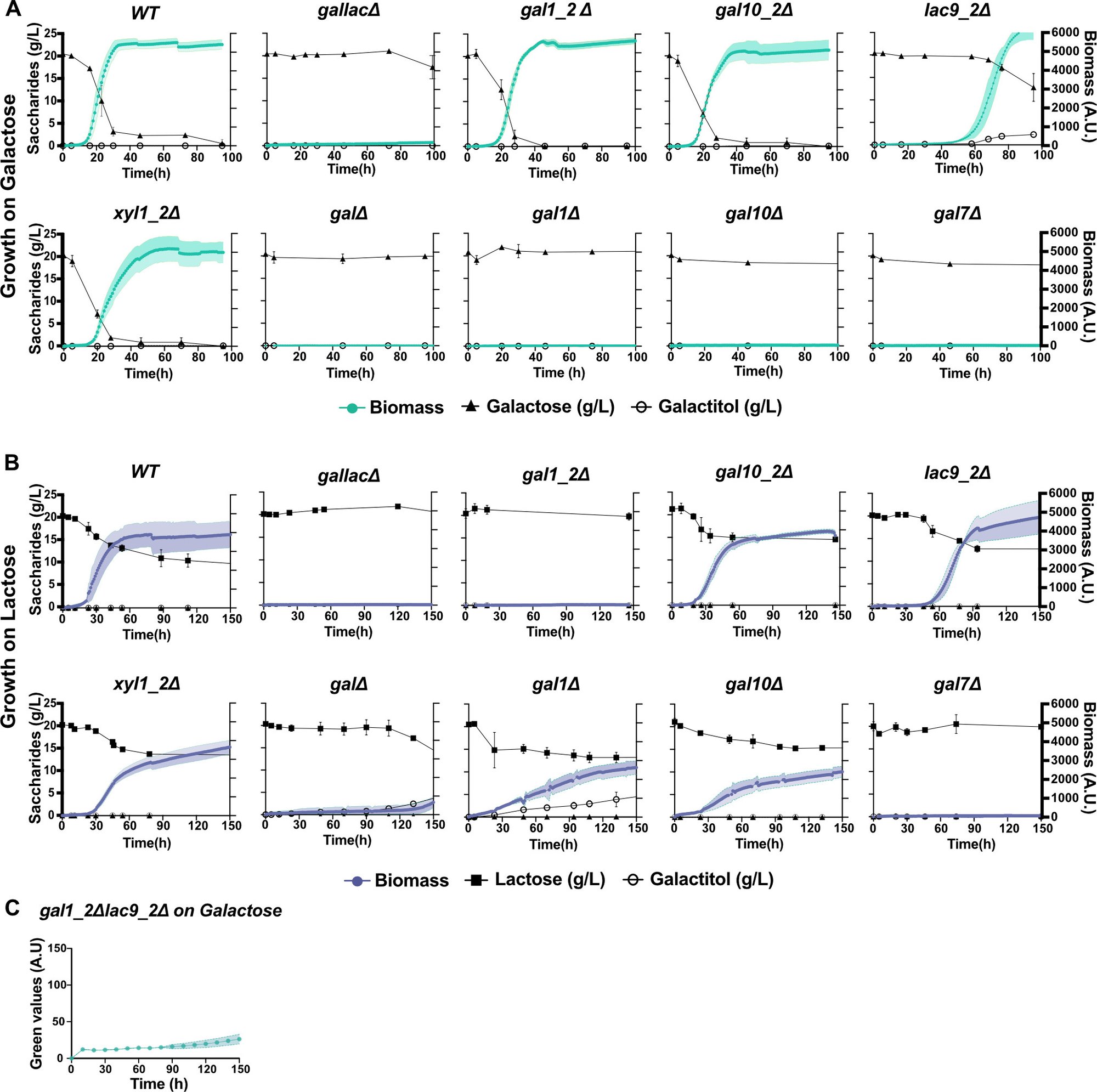 Evolving efficiency by using Cell Growth Quantifier (CGQ) to explore Candida intermedias adaptation for Lactose and Galactose Metabolism