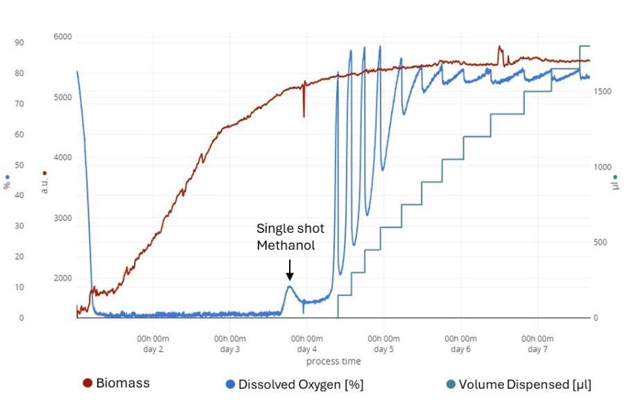 Online-Monitoring and automated feeding for early process-characterization