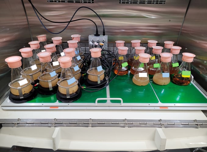 biodyne-setup-cell-growth-quantifier