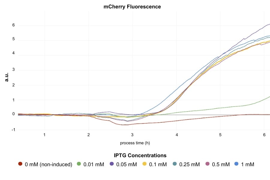 mCherry fluorescence for flasks induced with IPTG concentrations-1