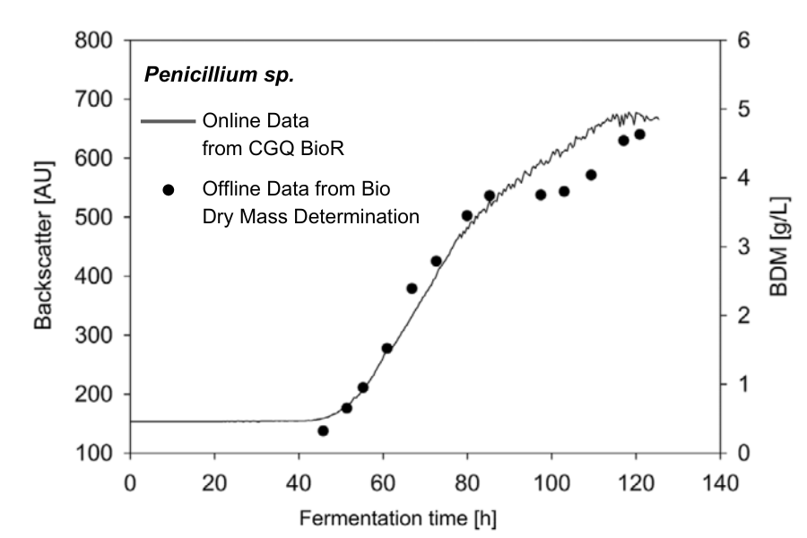 BioR penicillium sp- soerjawinata-1