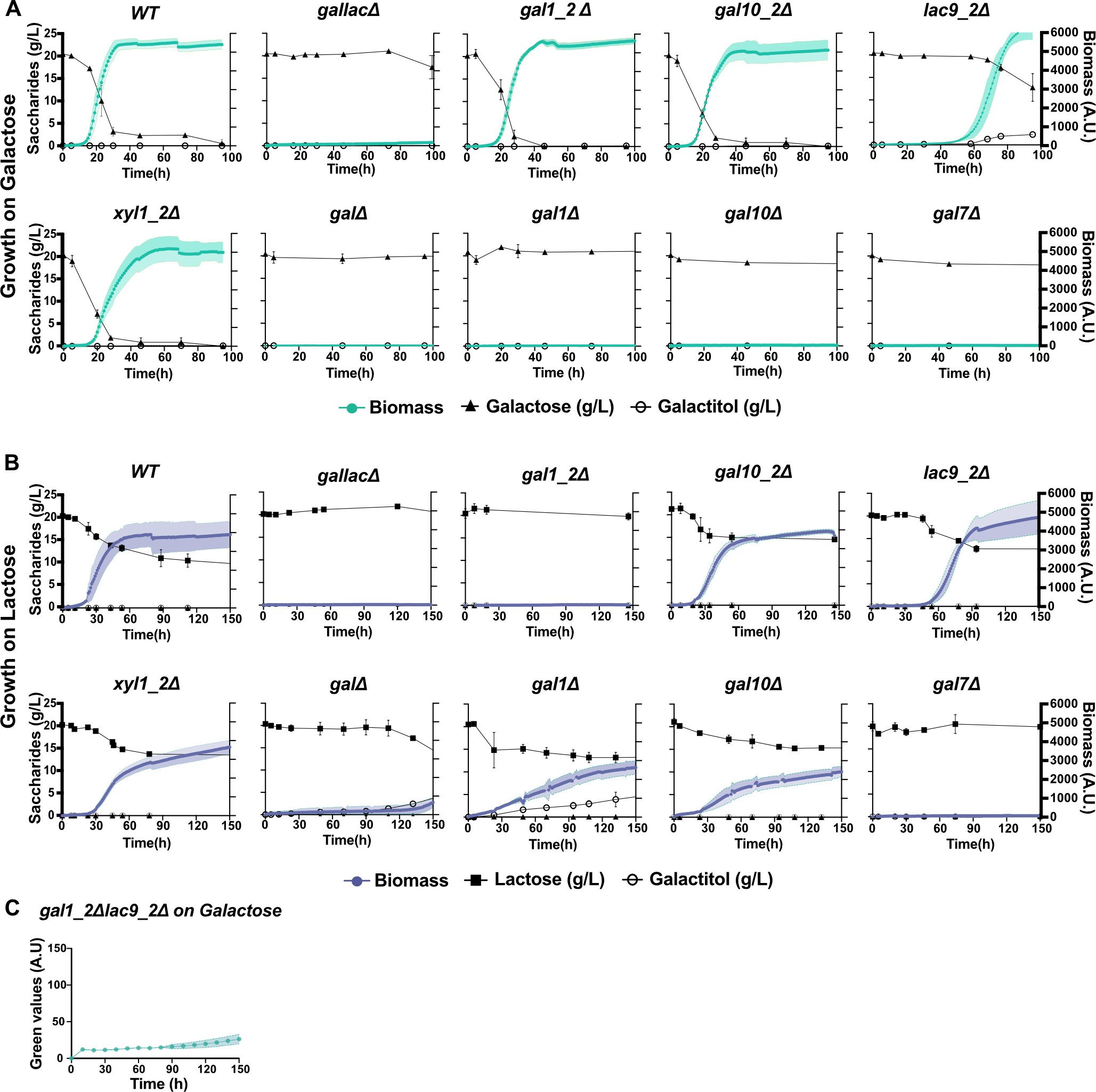 Using the Cell Growth Quantifier (CGQ) to Explore the Adaptation for Lactose and Galactose Metabolism of <i>Candida intermedia</i>