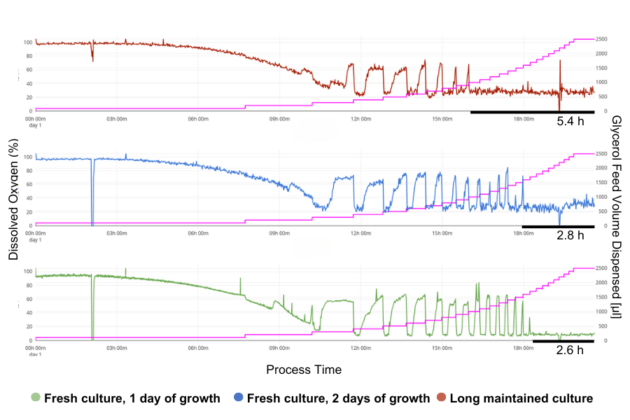 Impact of Starter Culture Conditions on Strain Growth