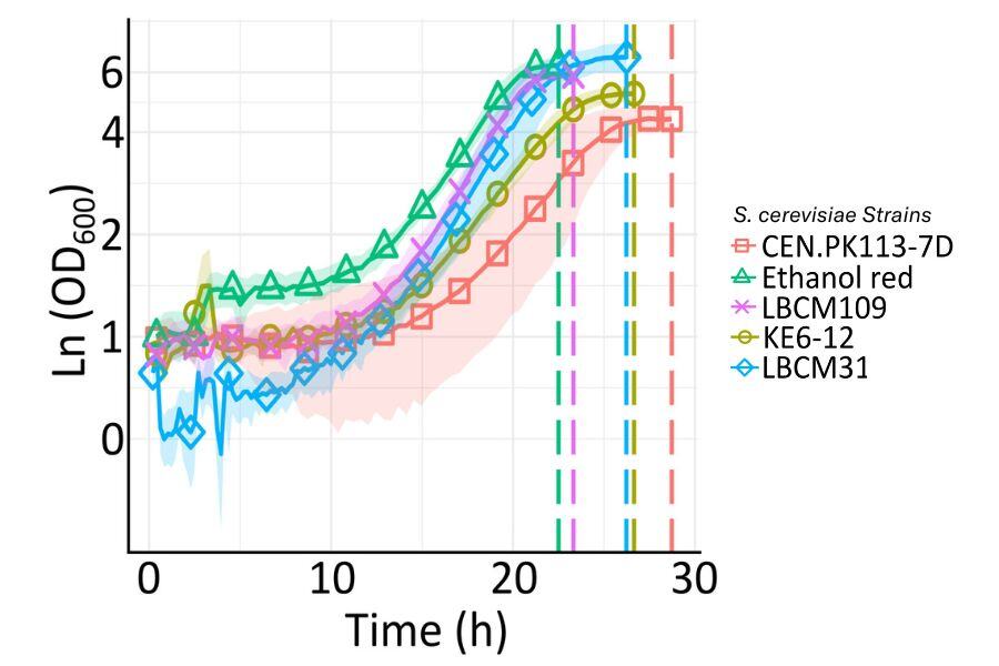 Improving Yeast Strain Robustness for Biorefinery Applications