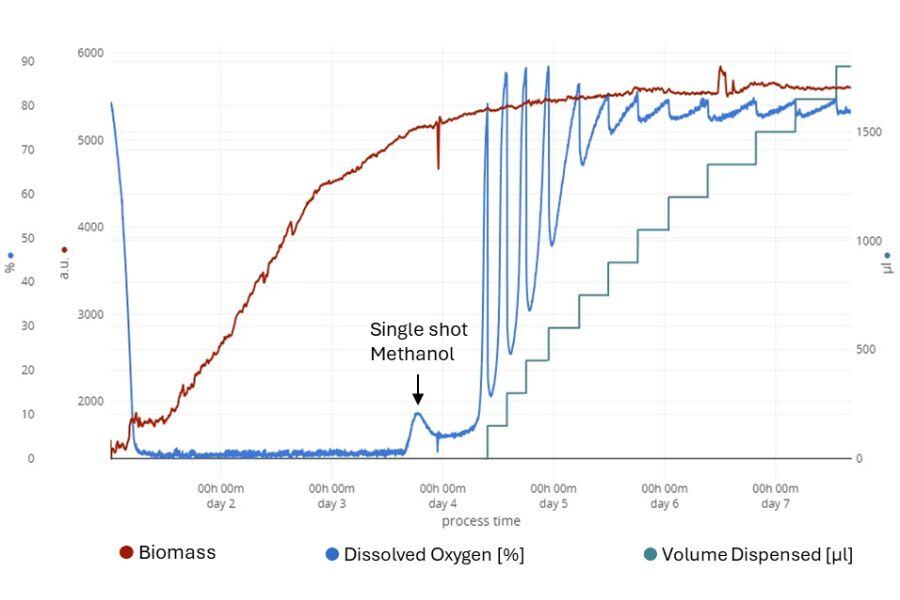 Online-Monitoring and automated feeding for early process-characterization