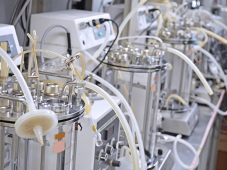 Scaling Up in Bioprocessing - Bridging the Gap from Lab Bench to Industrial Production