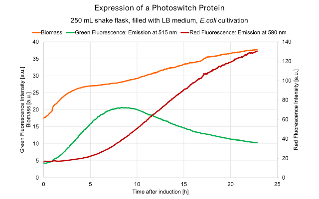 ecoli_photoswitch_protein_graph