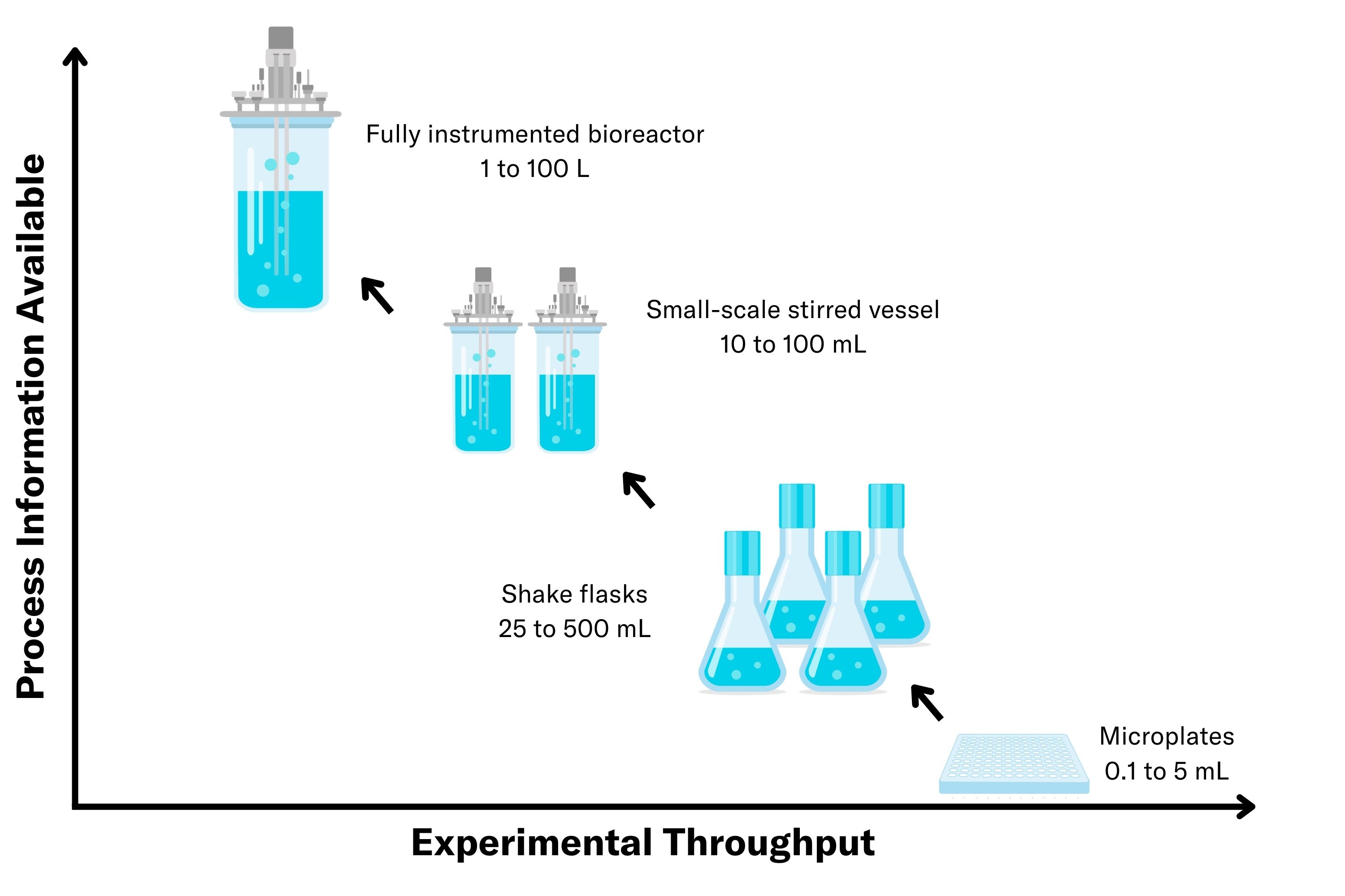 Exploring the Scales in Bioprocessing