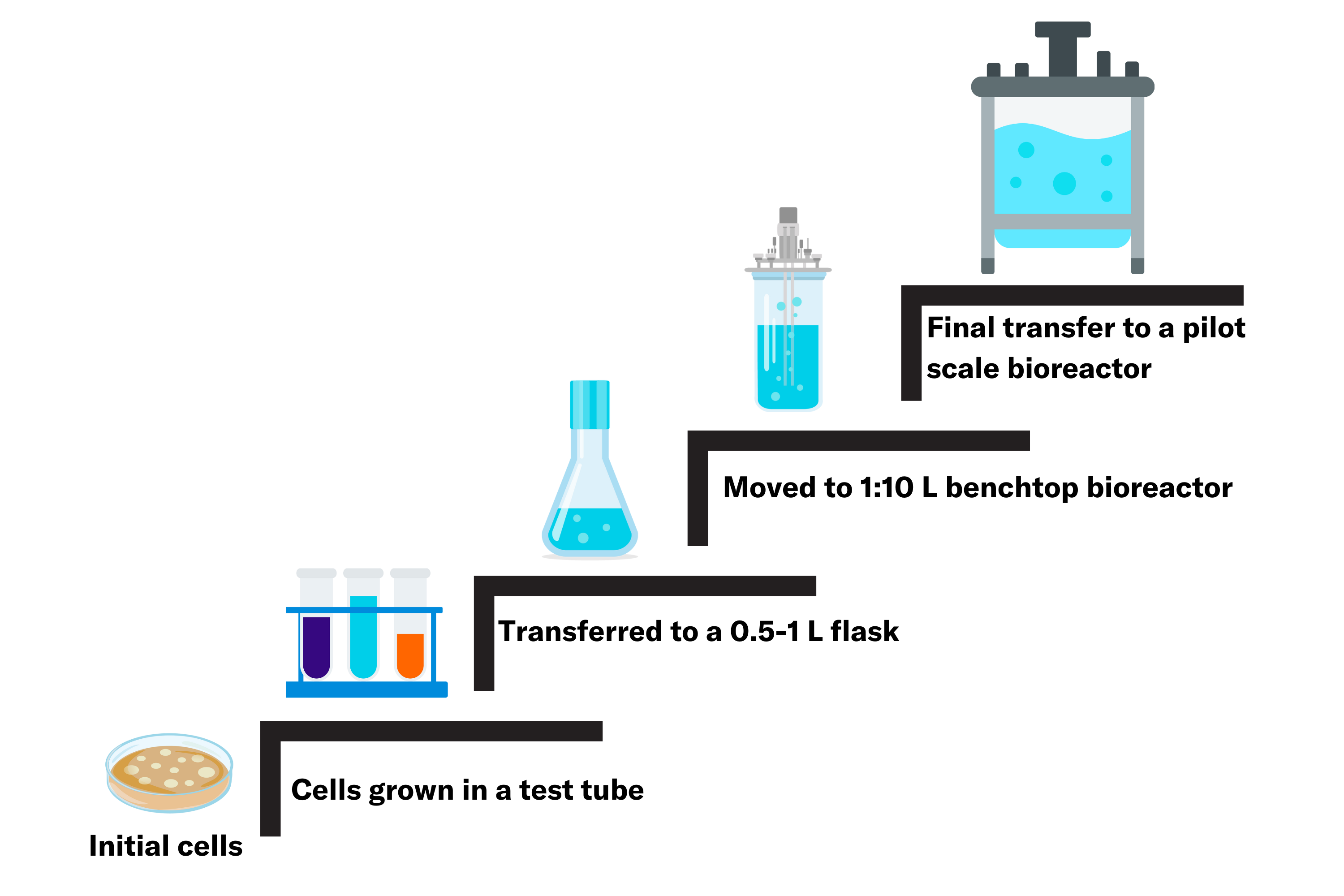 The Seed Train in Bioprocessing Design, A Journey from Micro to Macro